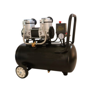 Air Compressor S1100-30L